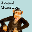 Ask A Stupid Question Day Thoughts!