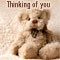 Thinking Of You On Teddy Bear Day!