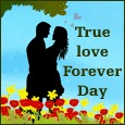 Will Love You Forever...