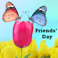 More Than Friends...