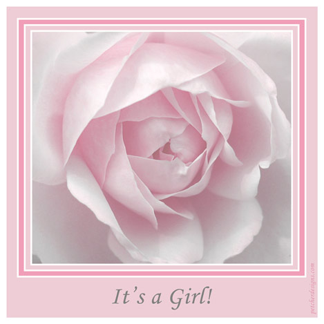 It’s A Girl Rose.