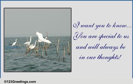 Dear Bro!