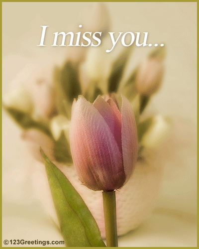 I Miss You!