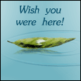 Wish You Were Here...