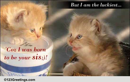 Lucky To Be Your Sis!