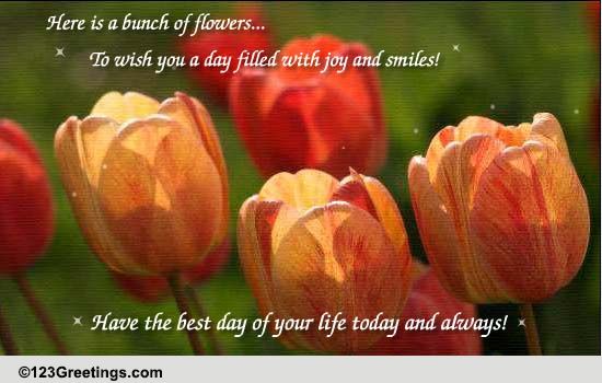 Here Is A Bunch Of Flowers!