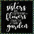 Sisters Are Flowers