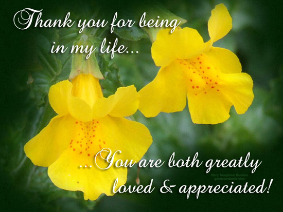 Thank You For Being In My Life. Free Floral Wishes eCards | 123 Greetings
