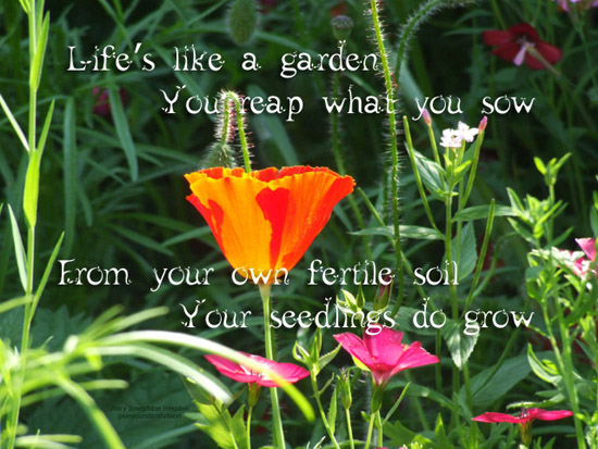 Life Is Like A Garden. Free Floral Wishes eCards, Greeting Cards | 123 ...