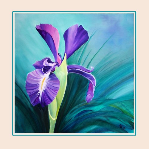 Purple Iris.