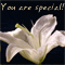 For Someone Very Special!