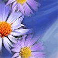 Wish You Happiness!