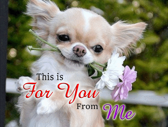 This Is For You.