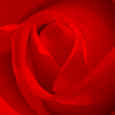 You Are My Love!