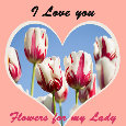 I Love You Flowers Tulip.