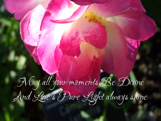 May All Your Moments Be Divine.