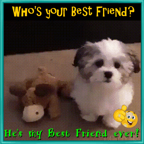 Who’s Your Best Friend?