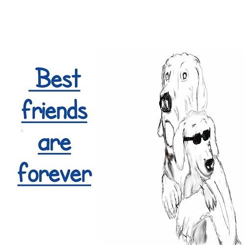 The Best Friends Card. Free Best Friends eCards, Greeting Cards | 123 ...