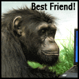 A Best Friend Ecard!