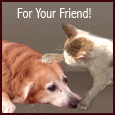 Send Friendship Ecards