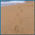 Footprints Of Friendship!