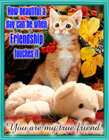 A Friendship Ecard For You.
