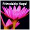 A Friendly Hug For You!