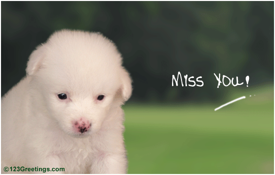 I Am Missing You My Friend! Free Miss You eCards, Greeting Cards | 123 ...