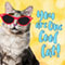 You Are One Cool Cat!