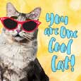 You Are One Cool Cat!