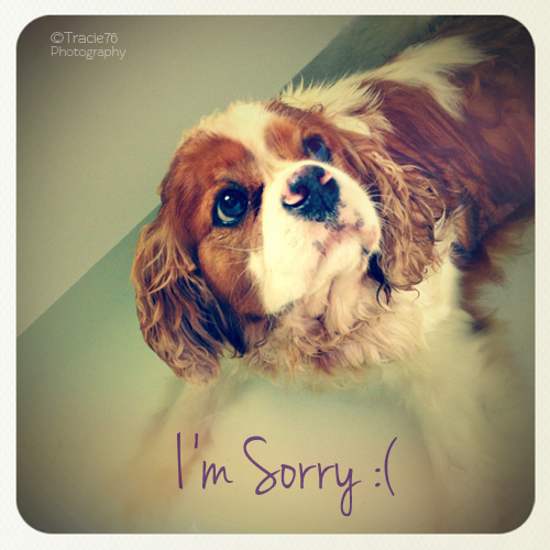 I’m So Sorry.