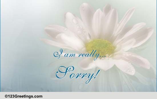 I Am Really Sorry... Free Sorry eCards, Greeting Cards | 123 Greetings