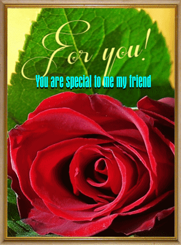 A Special Card For A Special Friend.