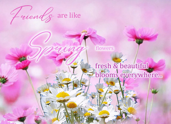 Friends Are Like Spring Flowers...