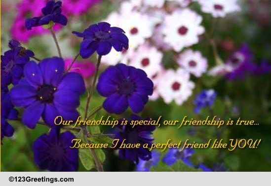 Our Friendship Is Special! Free Thoughts eCards, Greeting Cards | 123 ...