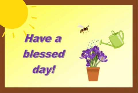 Have A Blessed Sunshine Day!
