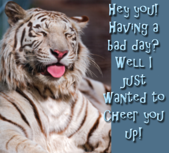 i-just-wanted-to-cheer-you-up-free-cheer-up-ecards-greeting-cards