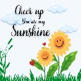 Cheer Up My Sunshine...