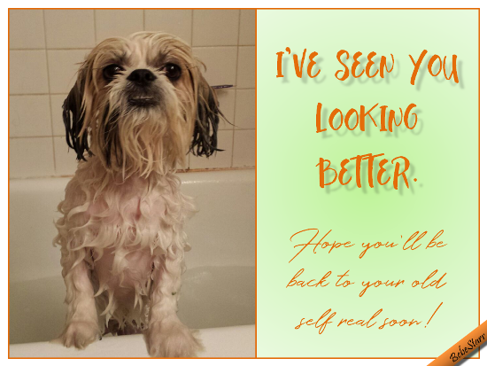 I’ve Seen You Looking Better! Free Get Well Soon eCards | 123 Greetings