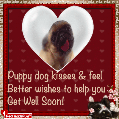 Get Well Wishes With Puppy Dog Kisses.