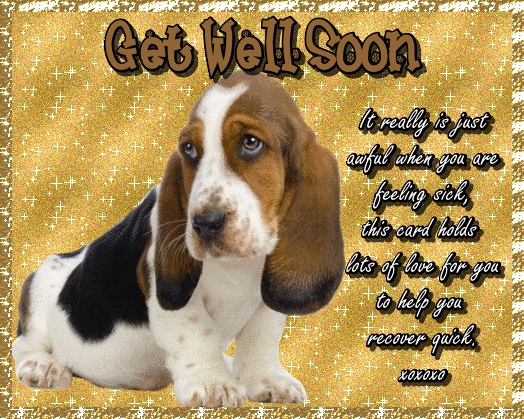 Beagle Get Well Wishes.