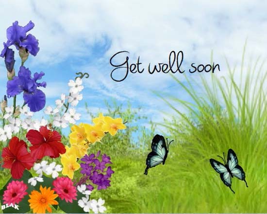 Everyday Get Well Soon Cards, Free Everyday Get Well Soon 