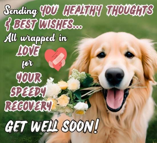 Get Well Soon Wish For Your Loved Ones. Free Get Well Soon eCards | 123 ...