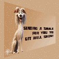 Get Well Soon Smiling Dog