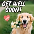 Get Well Soon Wish For Your Loved Ones.