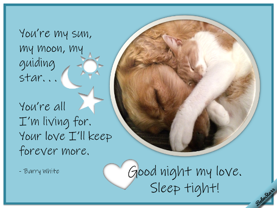 Good Night, Sleep Tight!