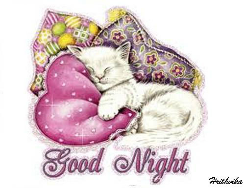 Good Night Cat...