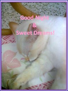 Good Night & Sweet Dreams.