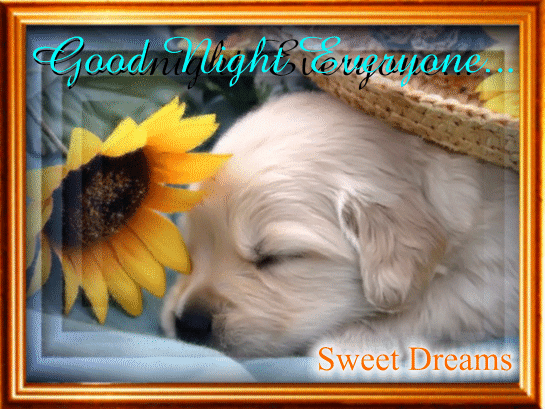 Sweet Dreams Card.
