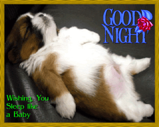 Puppy Wishes You Good Night.